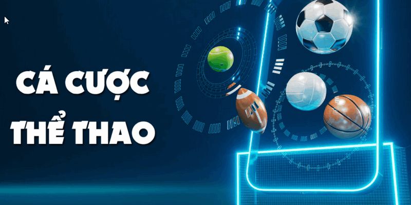 Cá cược thể thao TX88 - Tất tần tật những thông tin hữu ích 1 Thể thao TX88